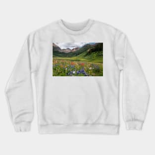 Alpine flowers in Rustler's Gulch, USA (C006/5999) Crewneck Sweatshirt